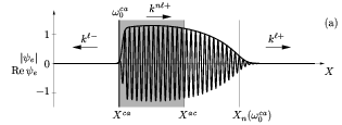 Envelope and real part of self-sustained structure