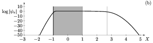 Logplot of envelope of self-sustained structure