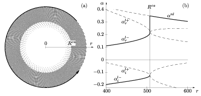 spatial structure of self-sustained nonlinear global mode